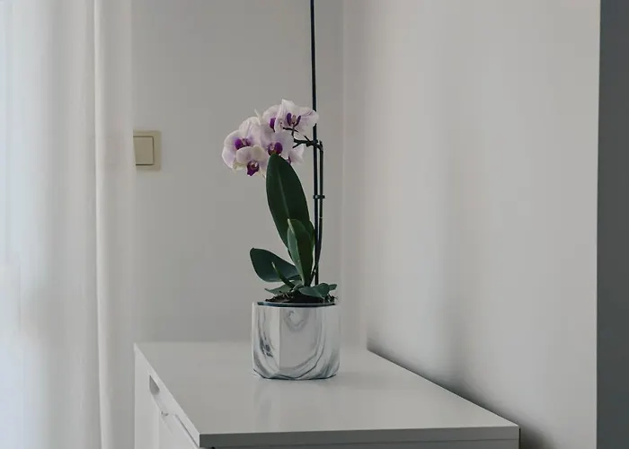 Appartement Valentina *