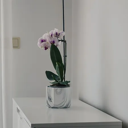 Appartement Valentina *